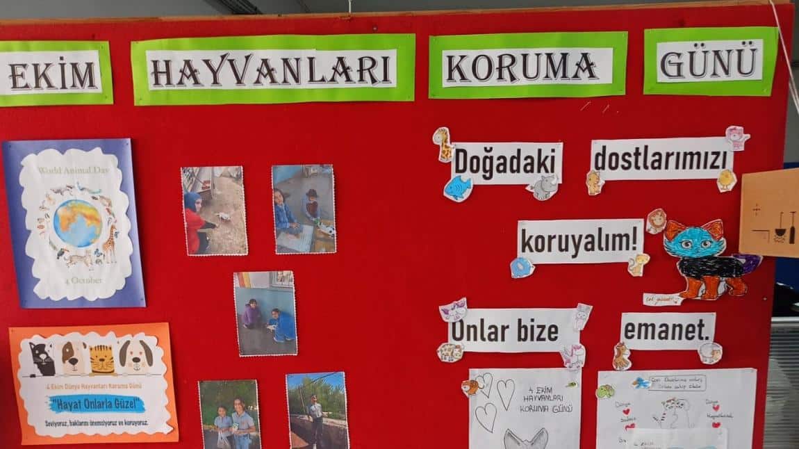 4 Ekim Hayvanları Koruma Gününü Kutladık